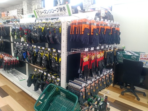 IMG_20251012_122809_422