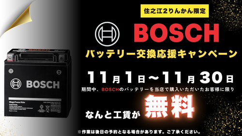 BOSCHХåƥ꡼򴹱祭ڡ (1)