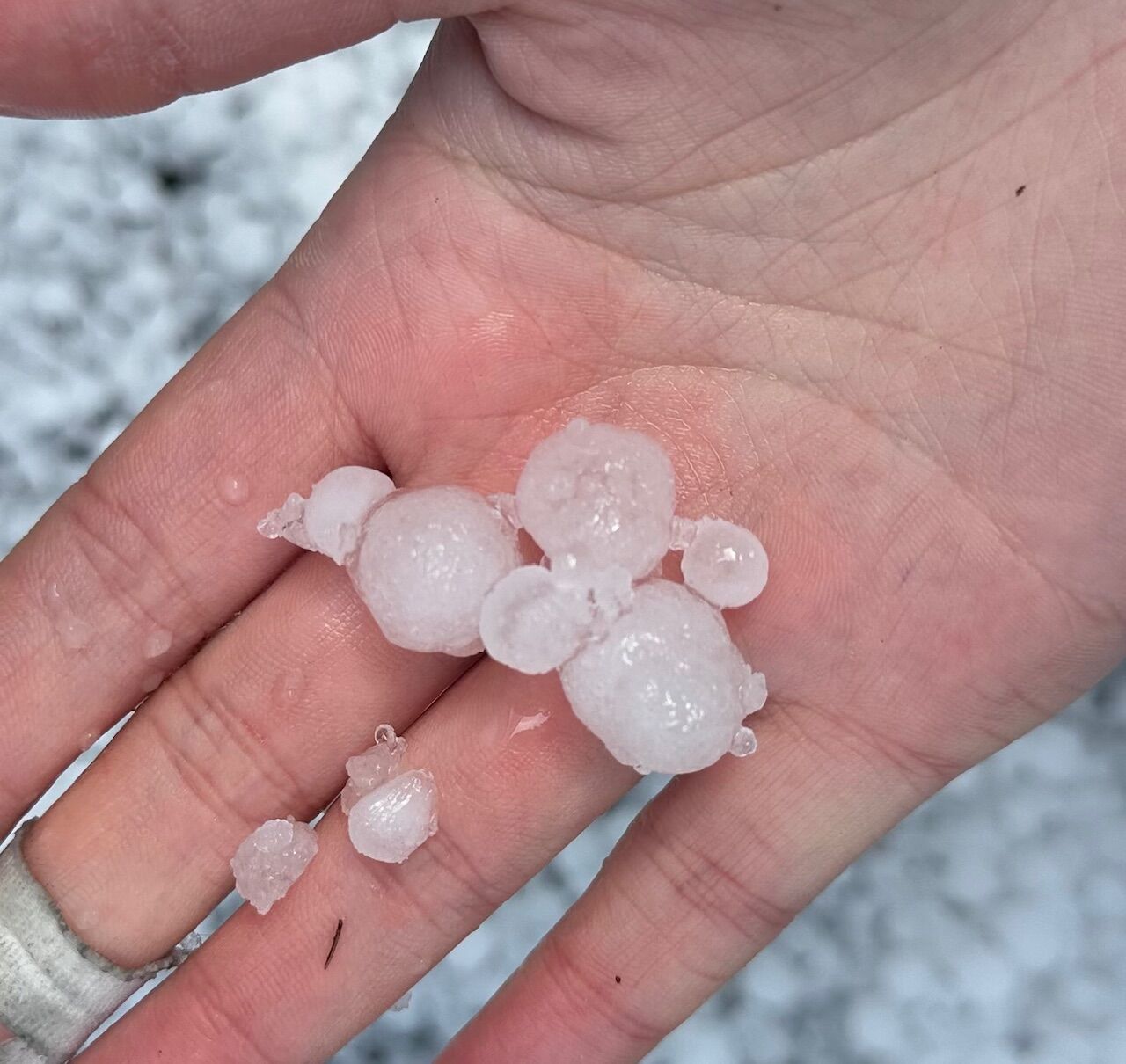 長崎時津2りんかん】＼雹が降ってきて、、、／ : 2りんかんブログ