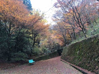 菊陽2りんかん 鯛生金山