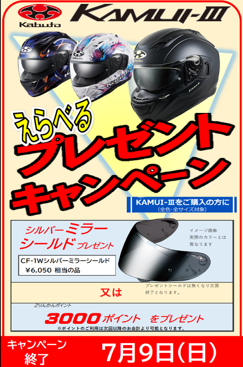 スクリーンショット (48)