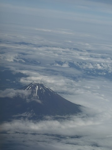 image4 (7)