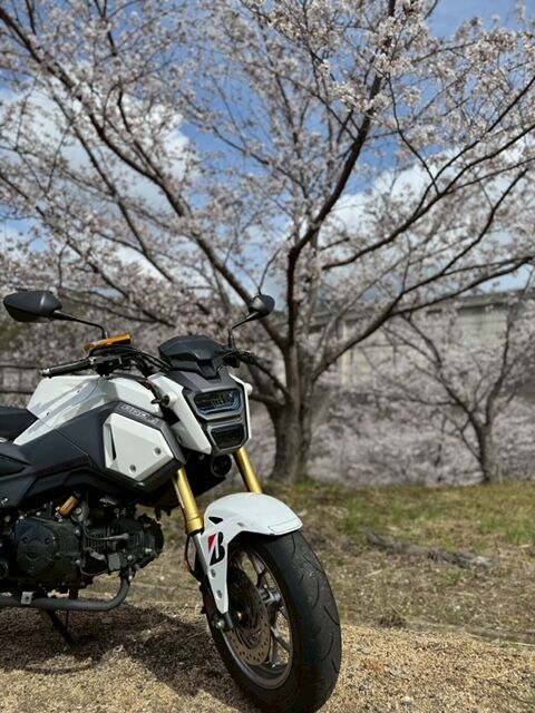 image0 (3)