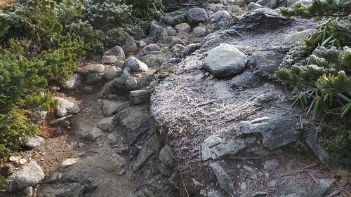 20201027_083343