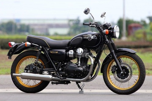 W800-01-800x534
