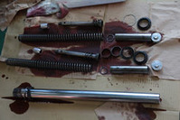photo_07