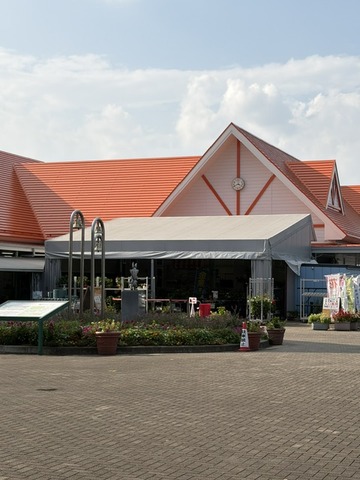 image2 (32)