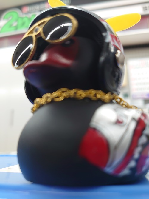 DSC_6056