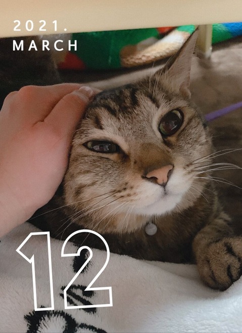 FB8F2AC0-8AE6-425C-9AC6-A9A68714ED99