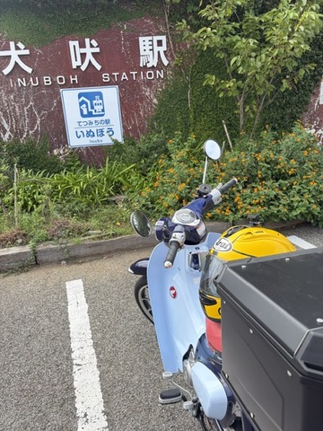 image2 (33)