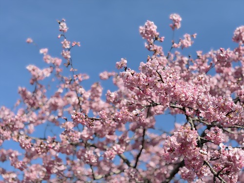 IMG_0633_3739087F-9F4D-4AC3-952B-356CD4F7A5E6