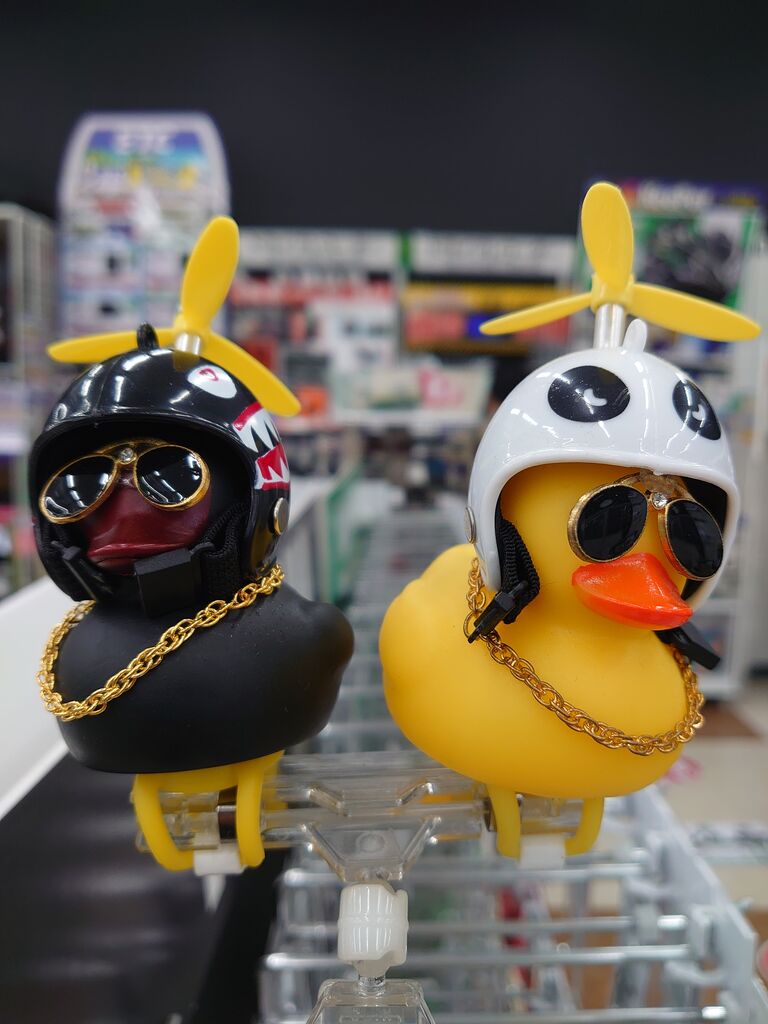 厚木2りんかん】アヒル隊長が2体も！！ : 2りんかんブログ
