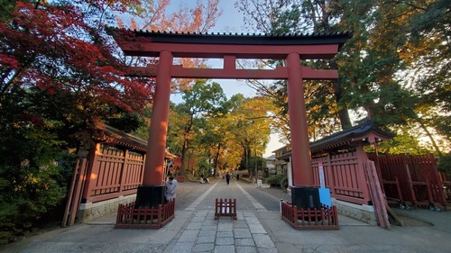 20201117_155424