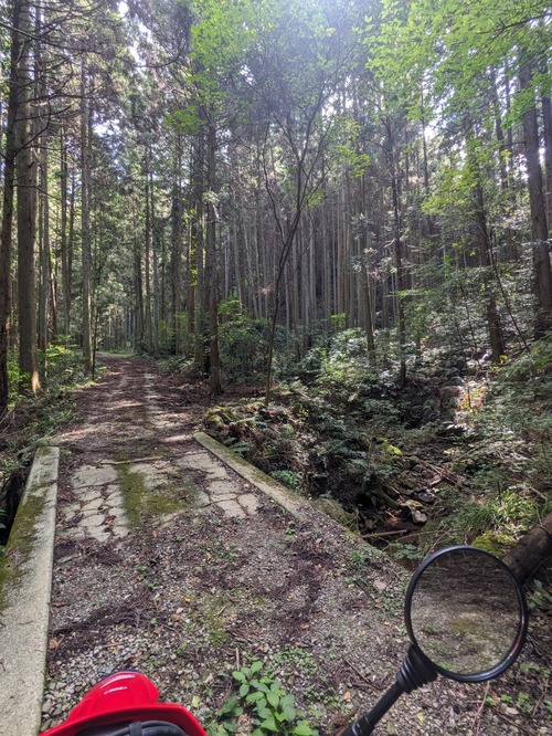 PXL_20251014_033418627