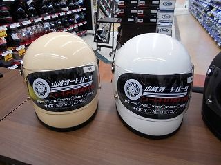 DSCN0250