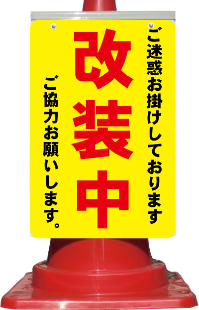 csn17