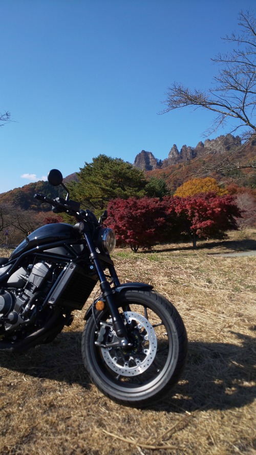 RENTAL REBEL1100003