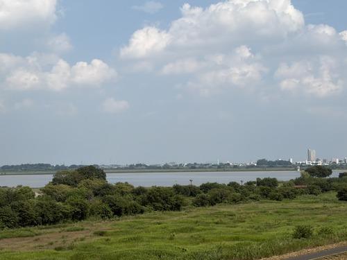 image1 (30)