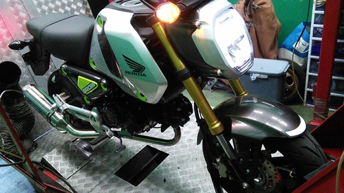 5GEAR GROM PCR015