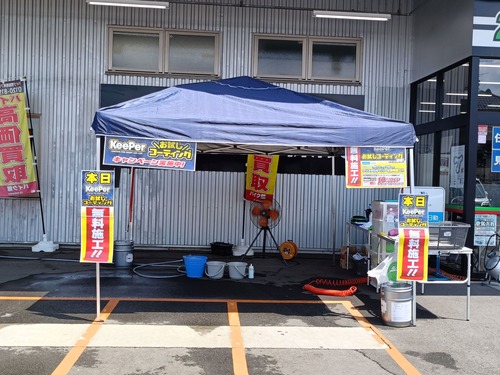 �����ѡ����٥��