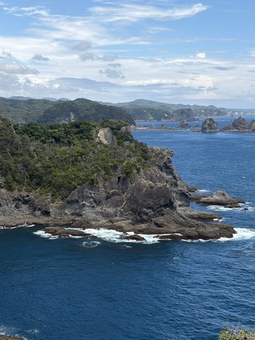 image5 (15)