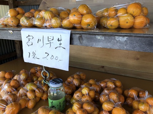 みかん