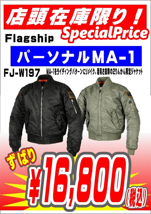 FJ-W197_16800