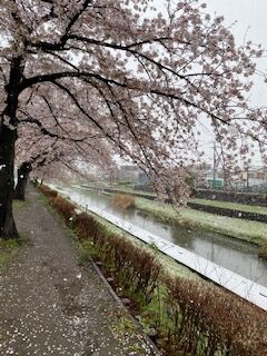 IMG_8653