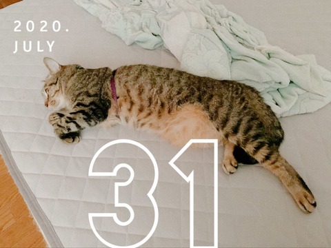 A37BF369-2103-43C4-AEA1-41C21E543C5F