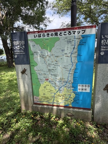 image1 (19)