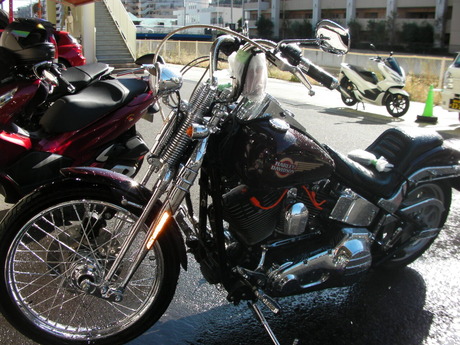 SANY0008