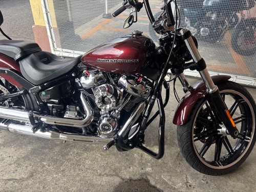 IMG_7586.jpg¥Ï¡¼¥ì¡¼¥Û¥¤¡¼¥ë£±