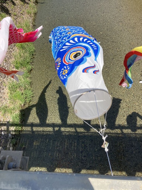 �����Τܤ�