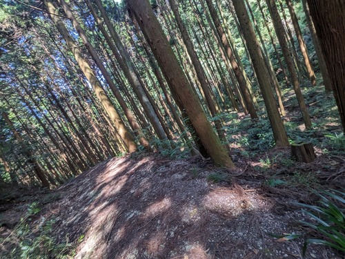 PXL_20251014_024127403