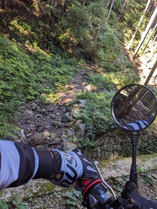 PXL_20251017_020935421