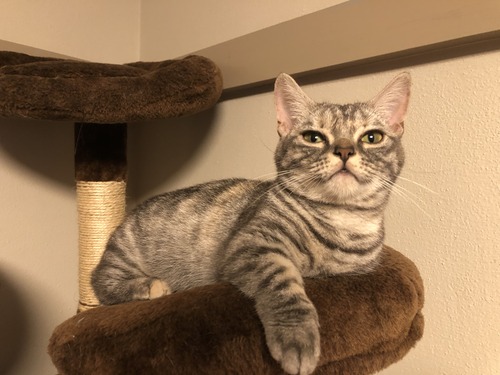 今週末のおススメはM-8H オールウェザーパーカー : 2りんかんブログ