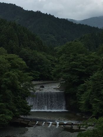 ΢¥ä¥Ó¥ÄÂì