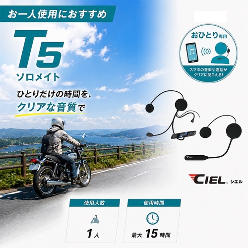 05_T5