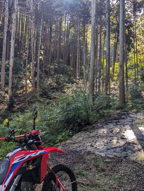 PXL_20251017_011000739