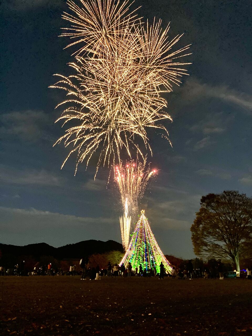 座間2りんかん】早くも…今年も行ってきました♪ : 2りんかんブログ