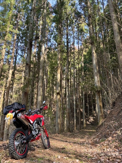 IMG_0681_C16B6AD0-04C5-48EA-9F51-41895CFF677A