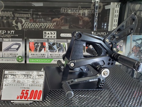 トリックスター / Ninja ZX-4RR / ZX-4R SE(24-25) 政府認証