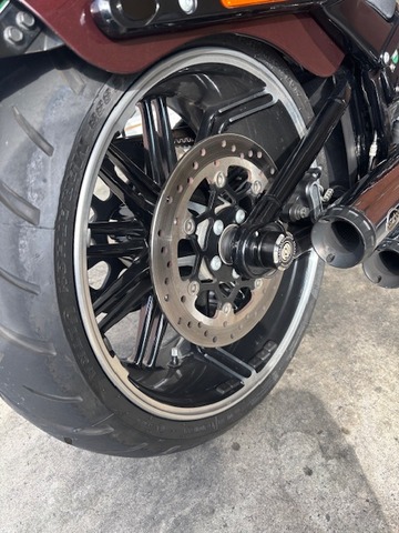 IMG_7588.jpg¥Ï¡¼¥ì¡¼¥Û¥¤¡¼¥ë£³