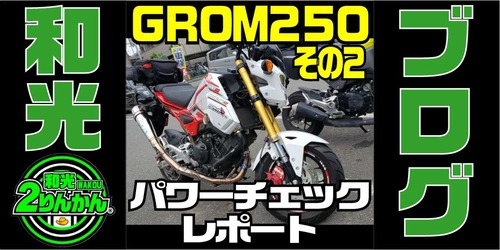 GROM250-P2-PCR-TOP