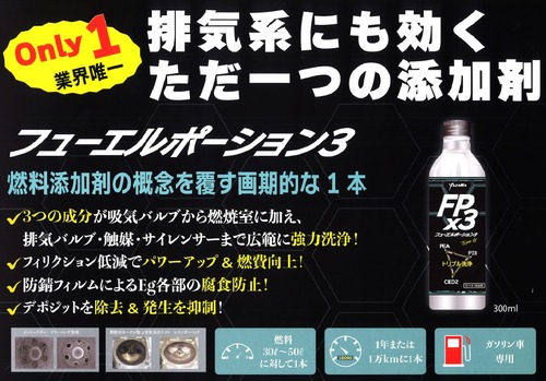 ¥Õ¥å¡¼¥¨¥ë¥Ý¡¼¥·¥ç¥ó£³¡ª