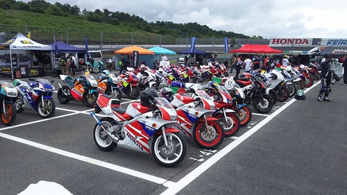 AREANSR2019 035