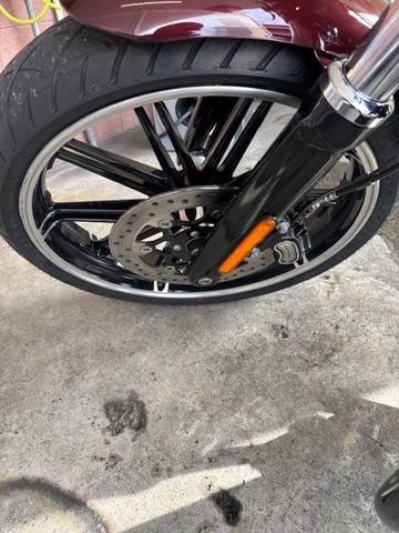 IMG_7590.jpg¥Ï¡¼¥ì¡¼¥Û¥¤¡¼¥ë£¶