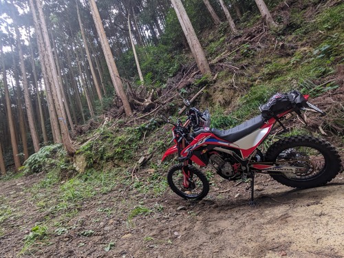 PXL_20251014_034307013