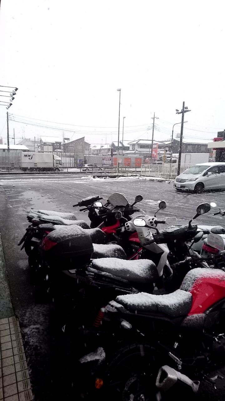 line_1585444860085
