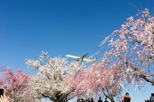 0E0C5EA6-63AD-451D-9130-5D1640E60229